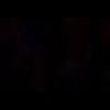 fiex